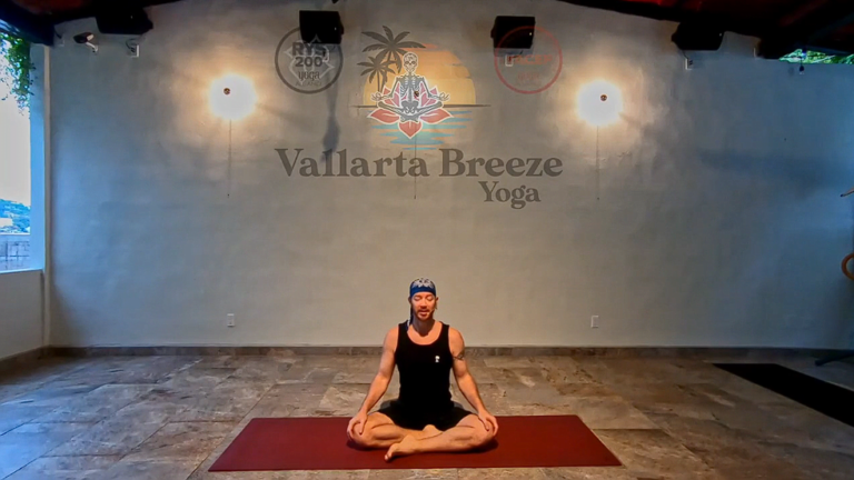 Yoga Quickie Episode #16